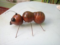 /album/galeria-de-fotos/formiga-de-caba%c3%a7a-2-jpg/